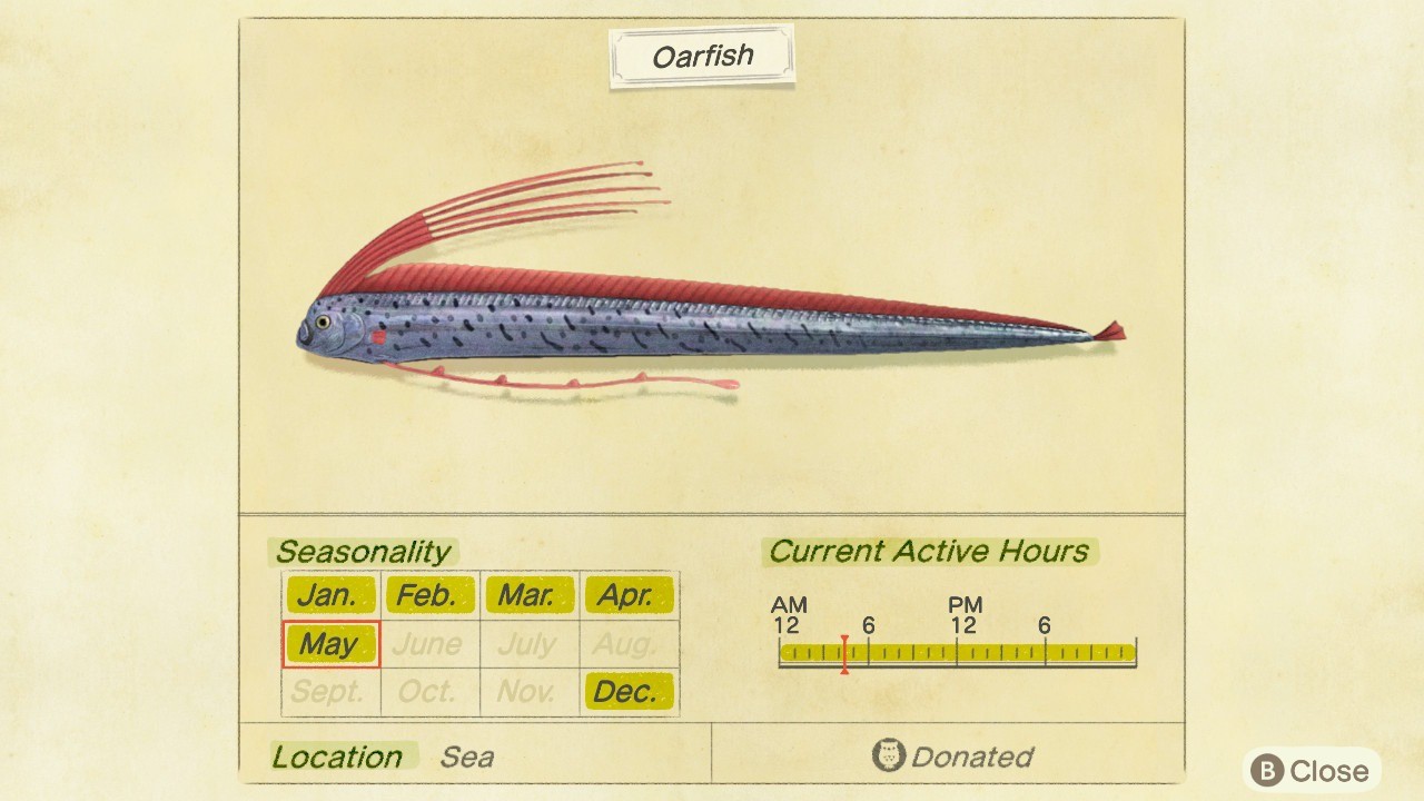 Как поймать Oarfish - Animal Crossing: New Horizons